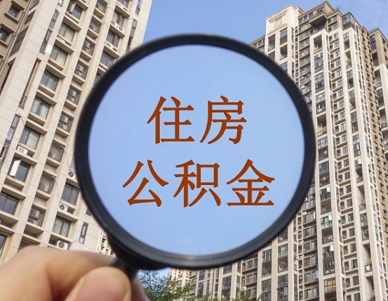 肇州退休后查不到公积金明细了吗（退休后公积金查询不到原因）